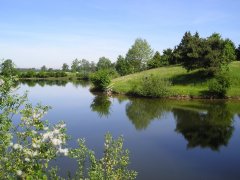 Baggersee Buch