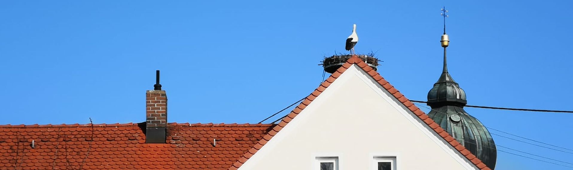 Biesenberger – Storch auf Rathausdach